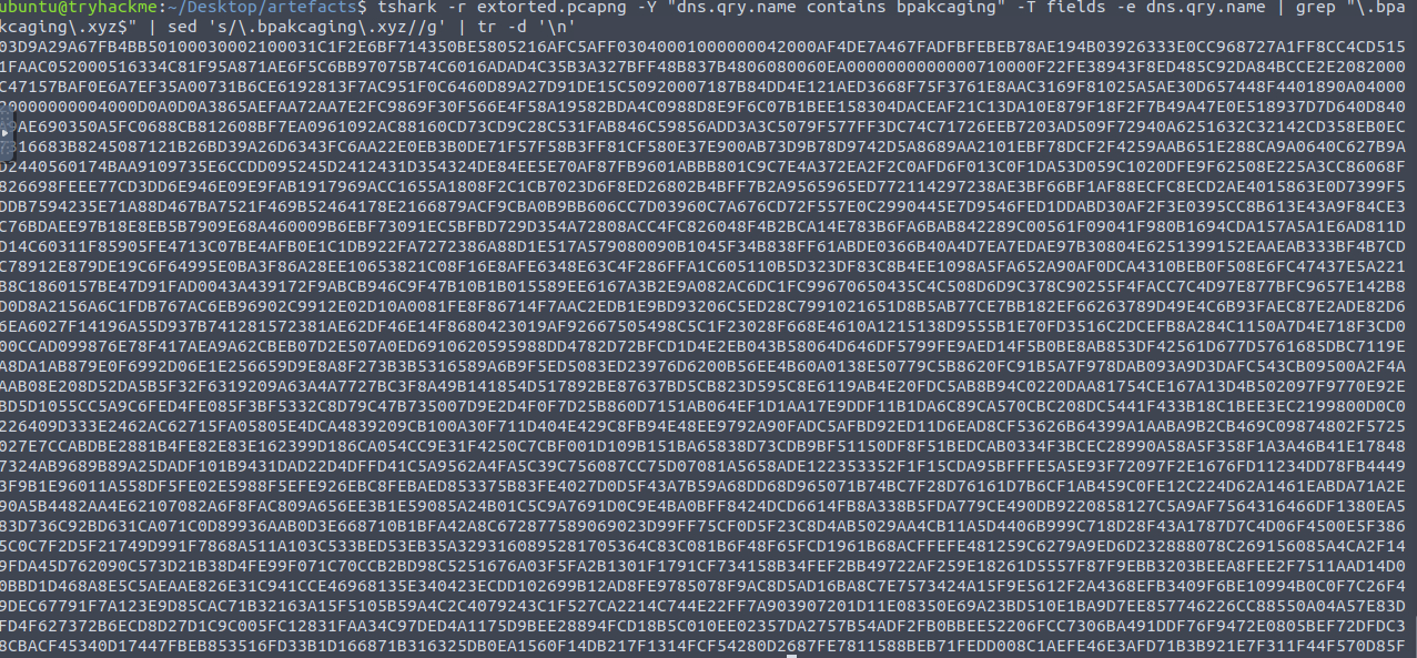 tshark command filtering for DNS exfiltration packets