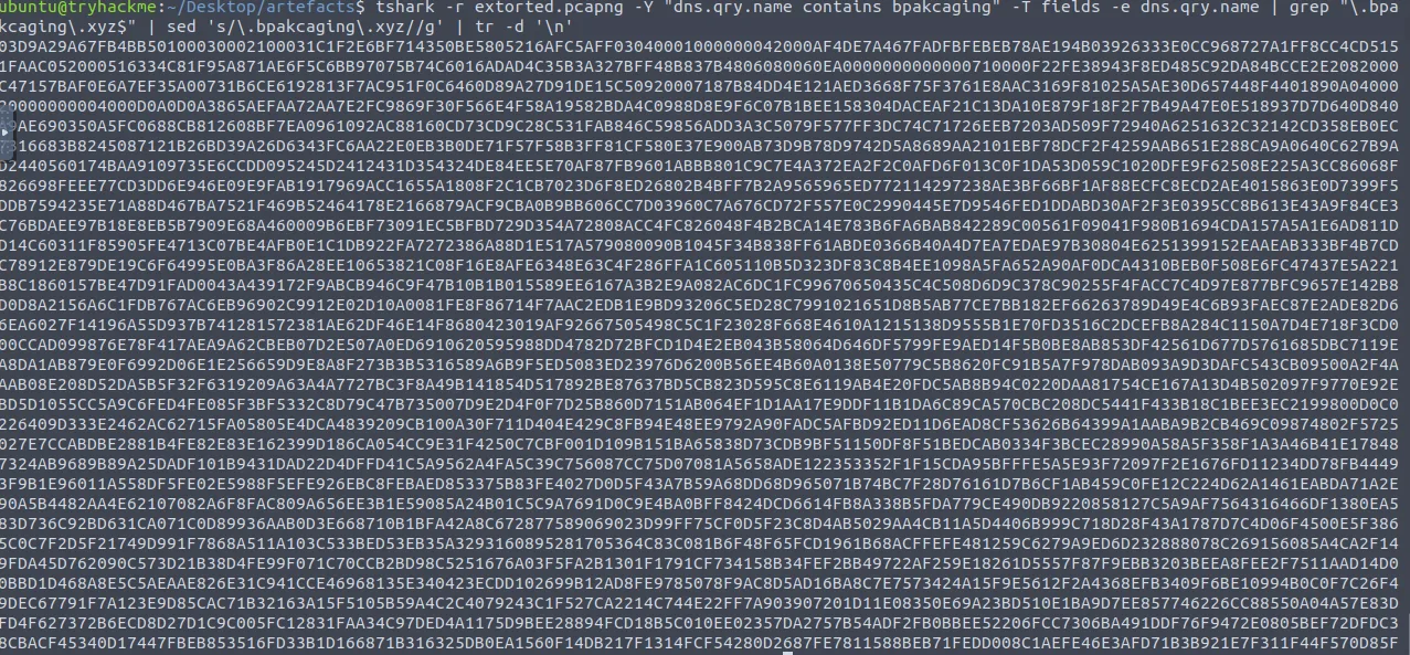 tshark command filtering for DNS exfiltration packets