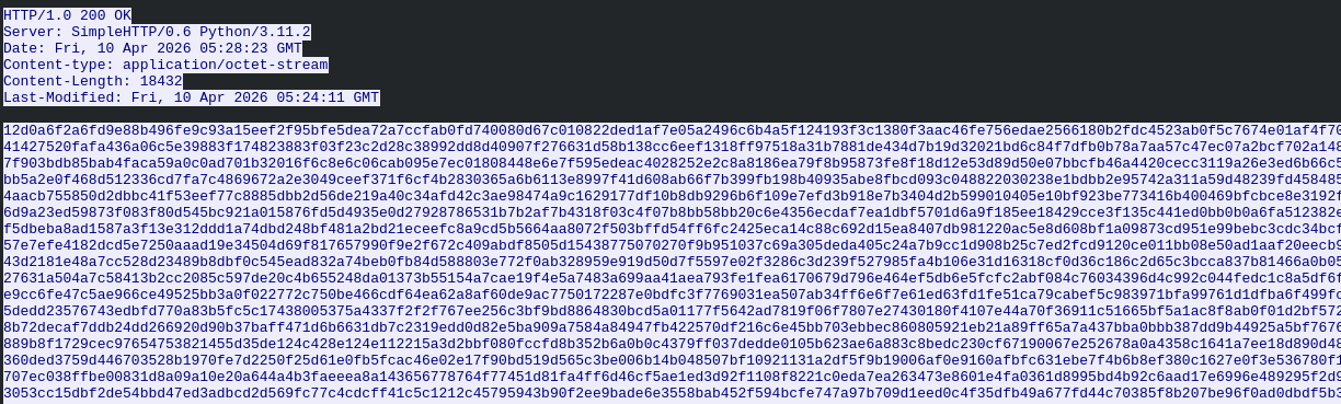 HTTP stream showing server response timestamp for AMD.bin