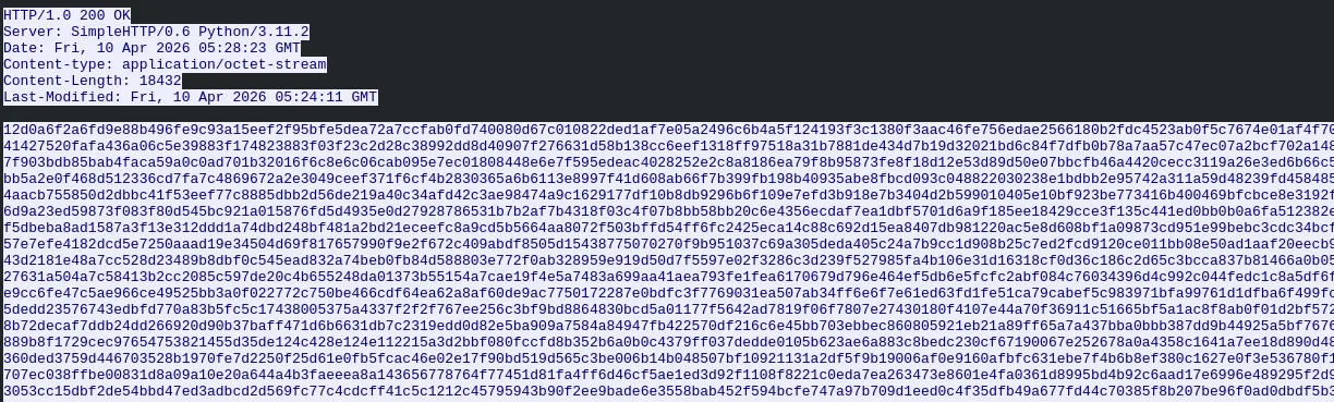 HTTP stream showing server response timestamp for AMD.bin
