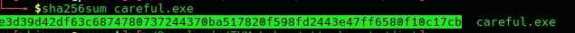 sha256sum output for amdfedrsr.exe