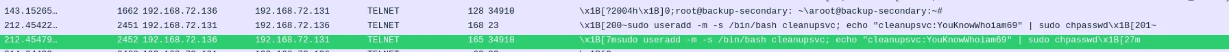 Telnet command logs showing unusual activity