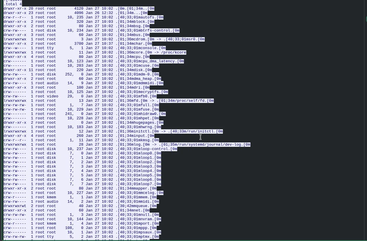 TCP stream showing directory recon