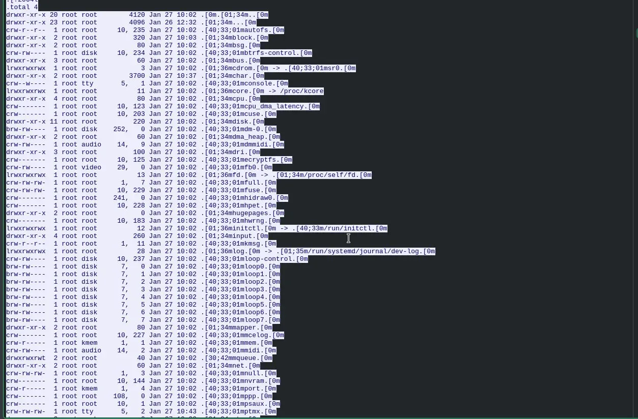 TCP stream showing directory recon