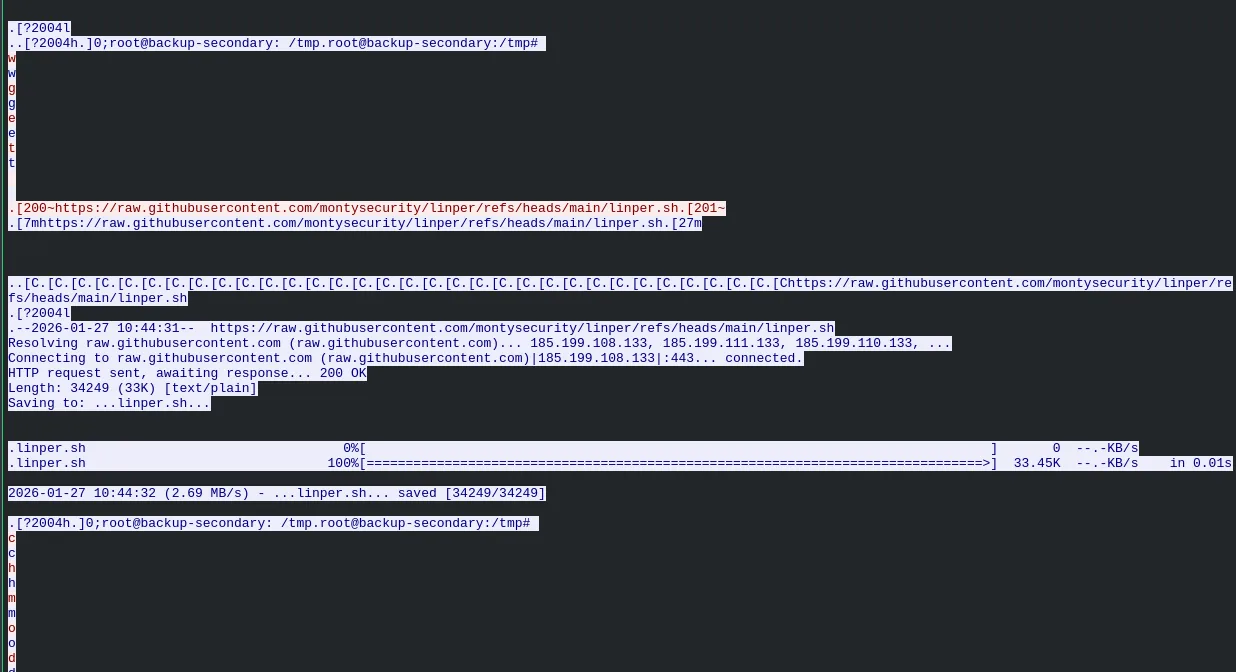 TCP stream showing GitHub download of linper.sh