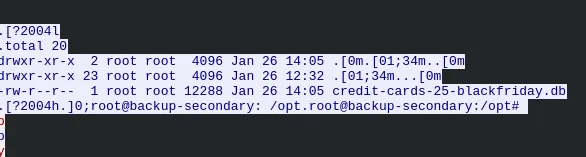 TCP stream showing database discovery and exfiltration