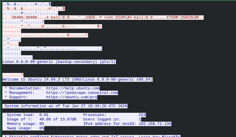 Telnet exploit command used by attacker