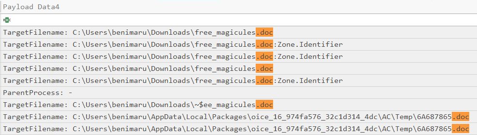 Timeline Explorer filter for .doc extensions showing two results