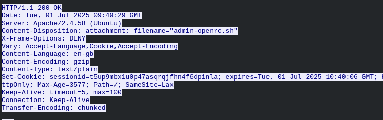 TCP stream showing the downloaded API config file