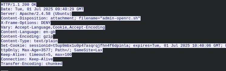TCP stream showing the downloaded API config file